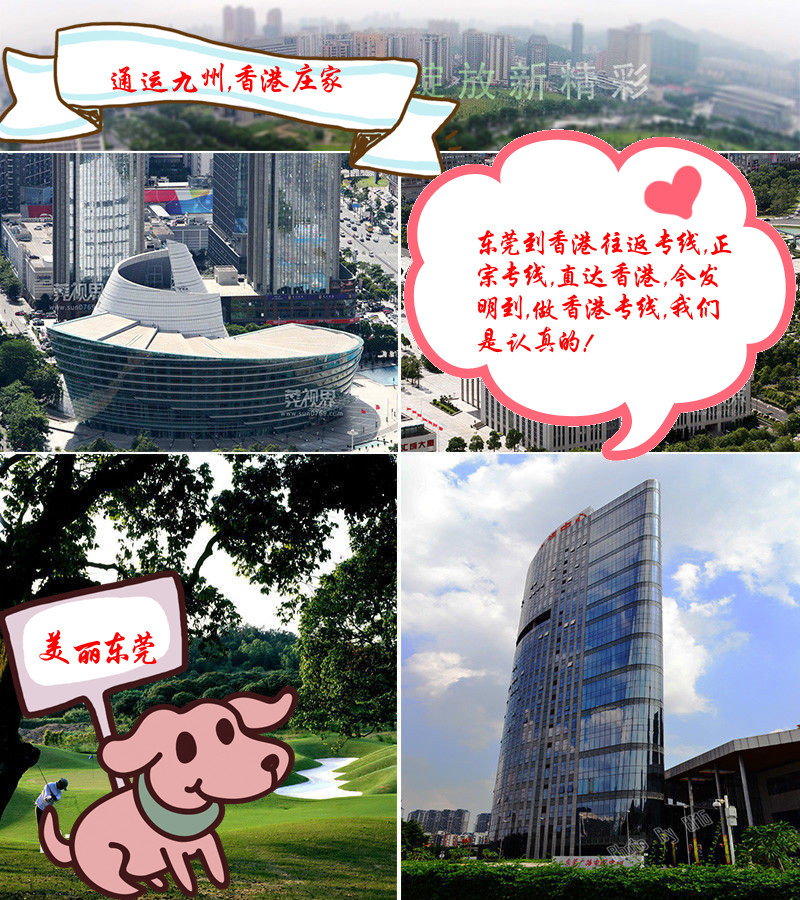 東莞到香港貨運公司，東莞到香港物流公司，東莞到香港運輸公司，東莞到香港的物流，直達(dá)香港，安全高效有保障